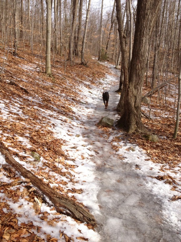 Katie on the Trail