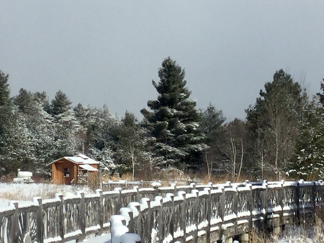 Returning from a snowshoe over the beautiful bridge.