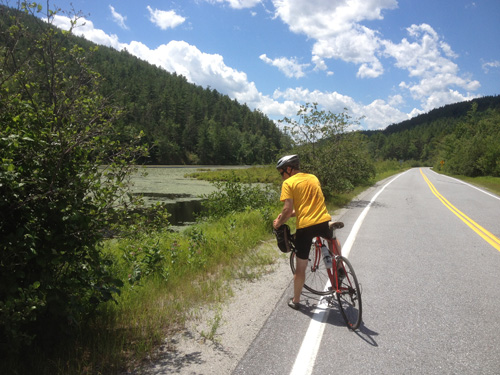 Ensign Pond wetlands