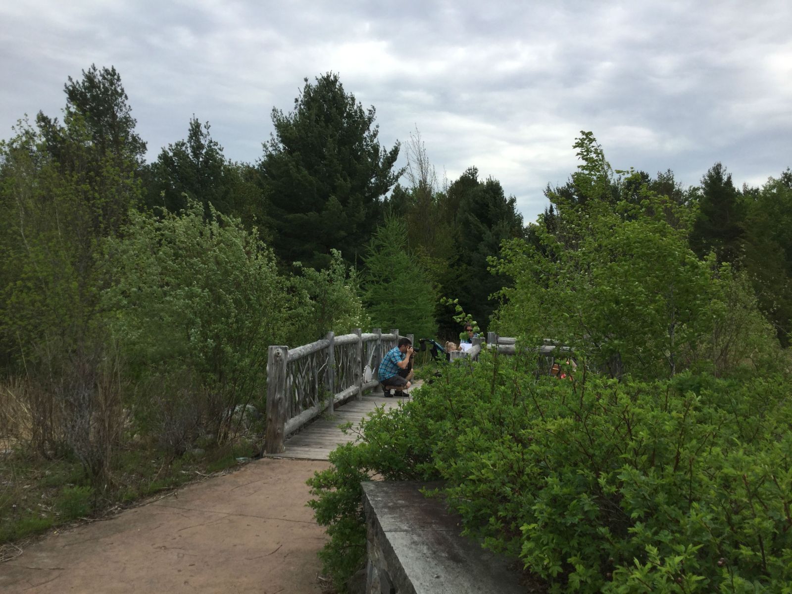 The scenic bridge usually has someone taking pictures because the view is so striking.