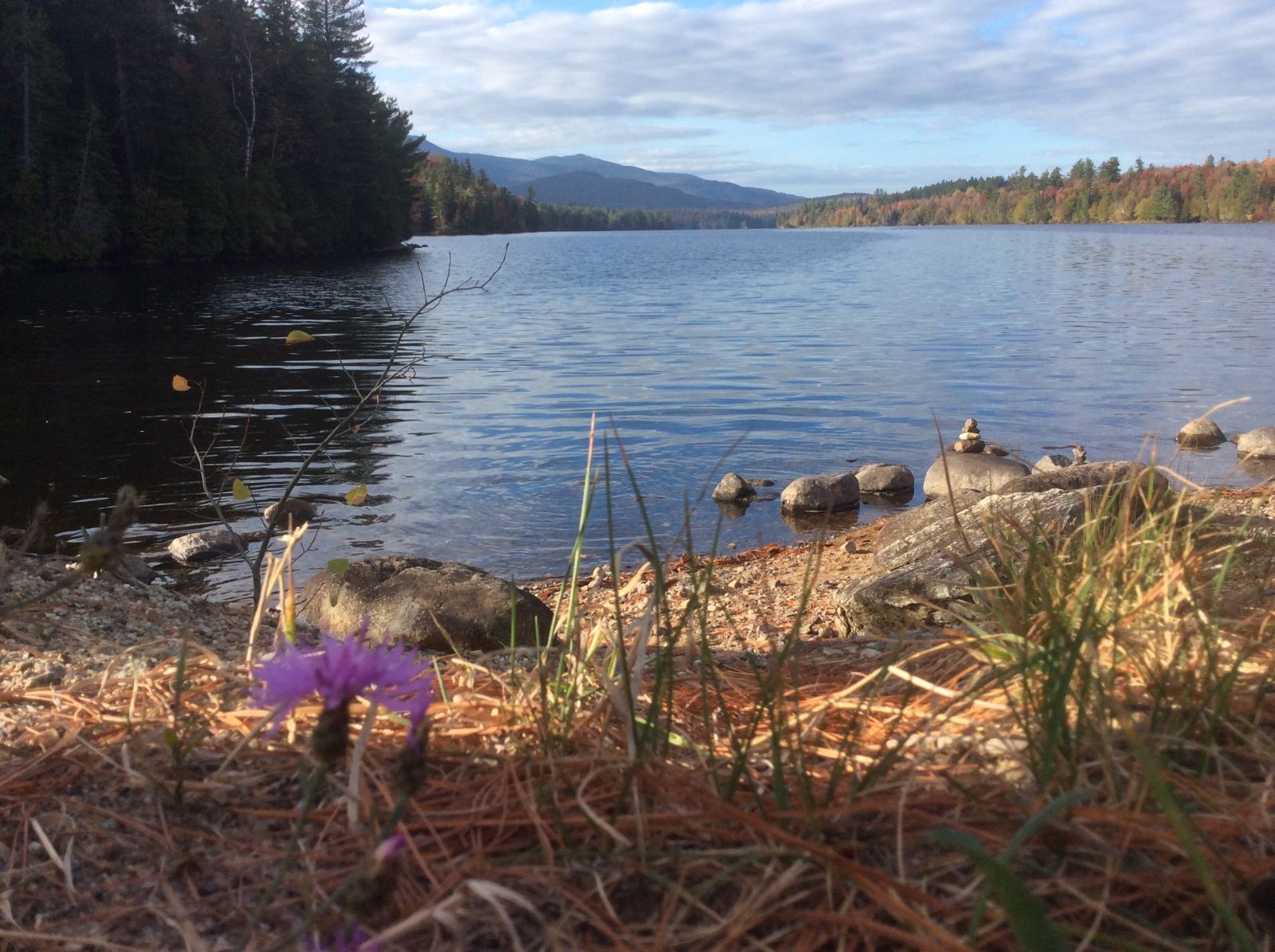 There's purple asters! This view with the dam at my back.