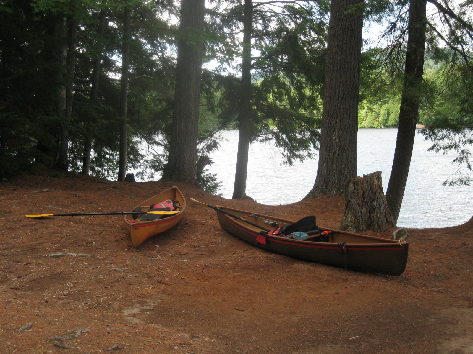 Our destination site #3 on St. Regis Pond!