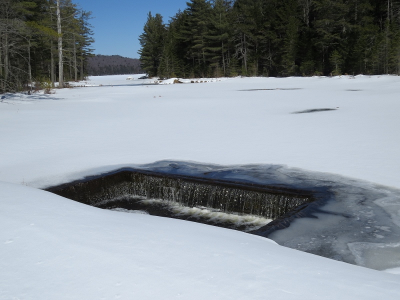 Horseshoe Lake outlet