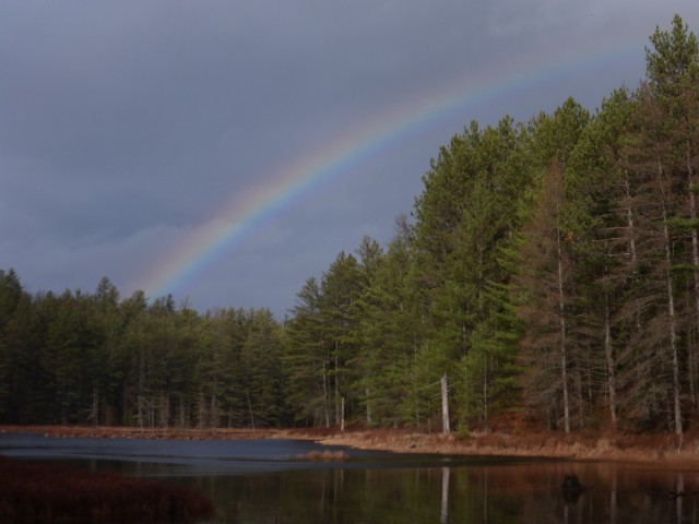 The rainbow over Grassy Pond.