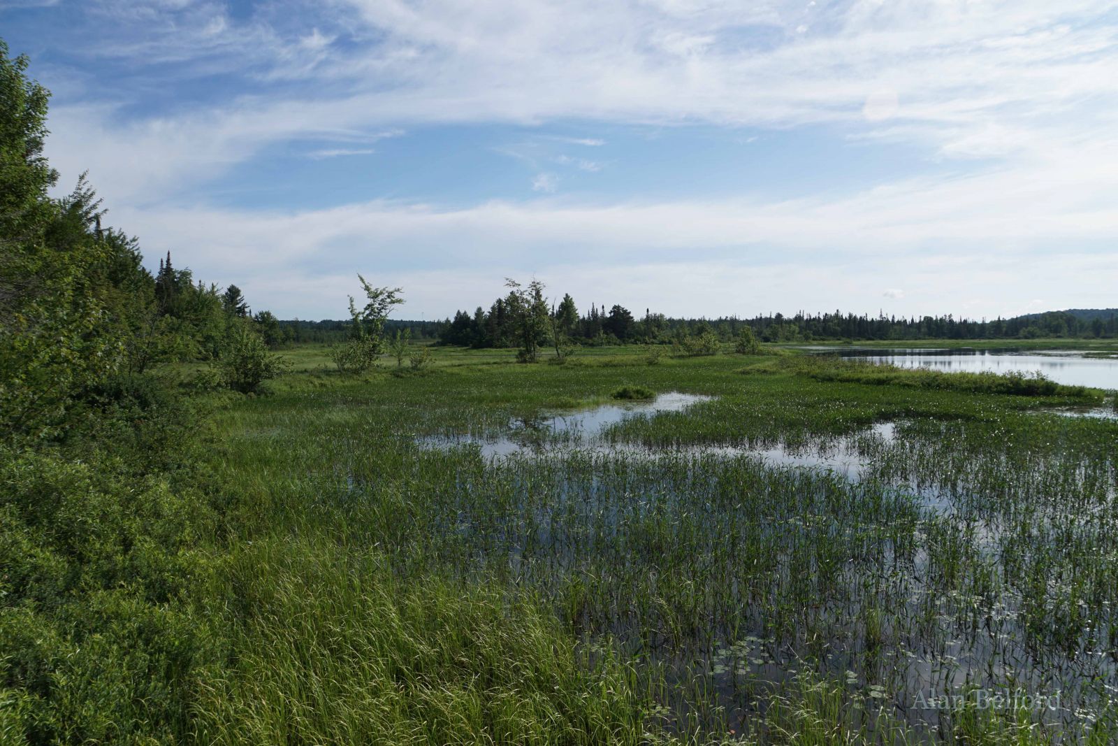 The tranquil setting of the oxbow kept putting me into a bit of a trance.