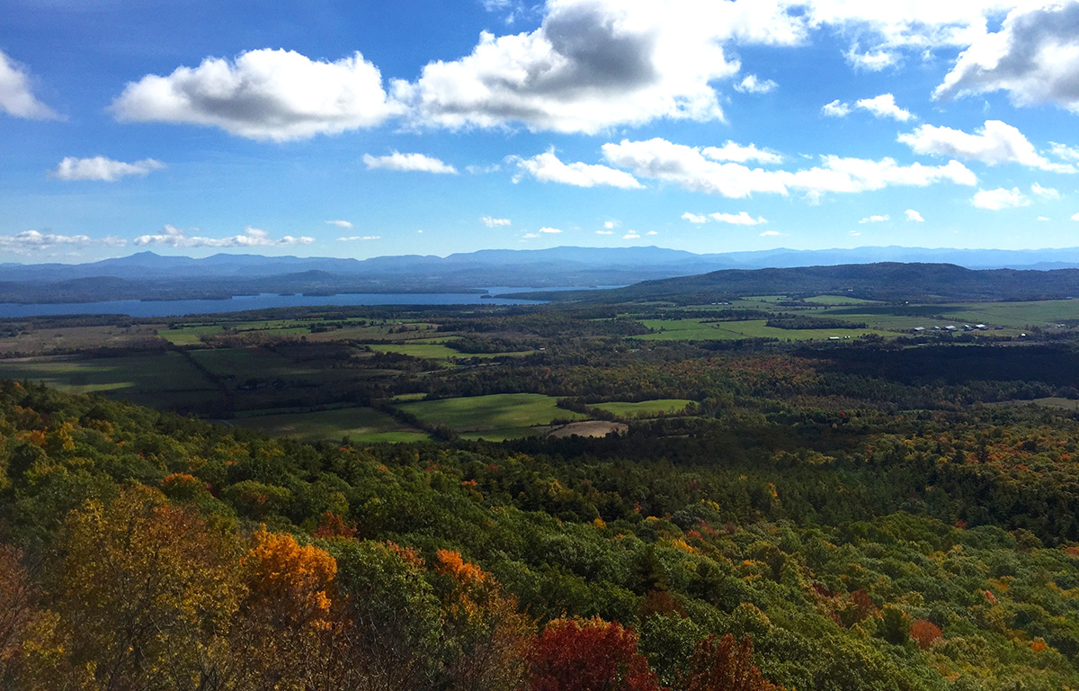 Wildway Overlook