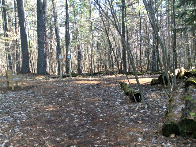 Informative signs and strategic benches make these trails the easiest forest walk imaginable. Informative signs and strategic benches make these trails the easiest forest walk imaginable.