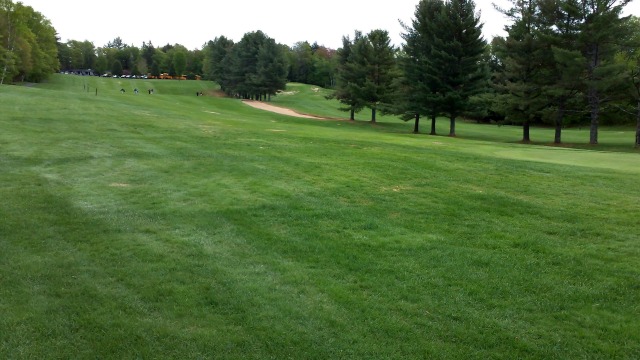 The natural curves of the wild can still be seen among the sand traps and trees