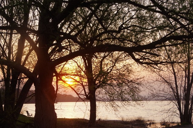 Early morning sun