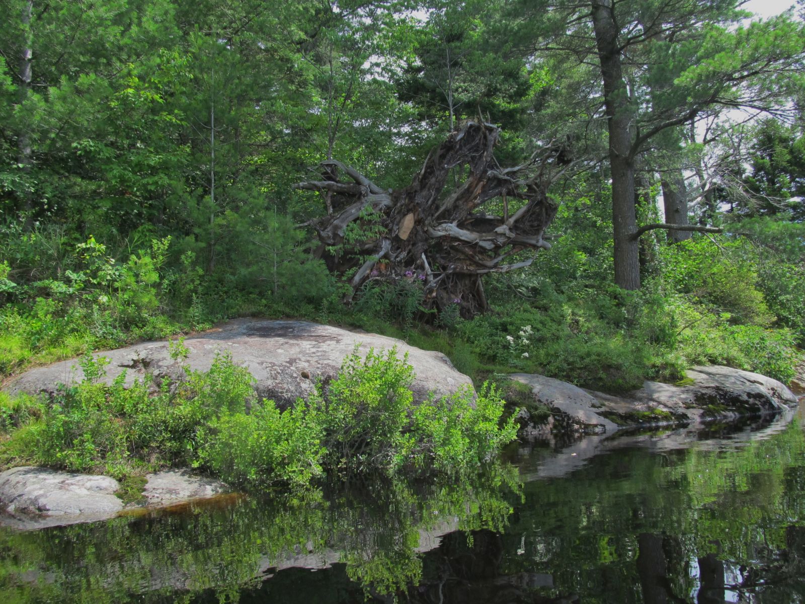 The riverbank.