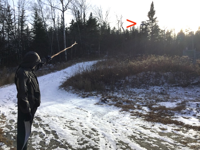 My companion indicates the fire tower first appearing, to the left of the tall tree and to the right of the red arrow.