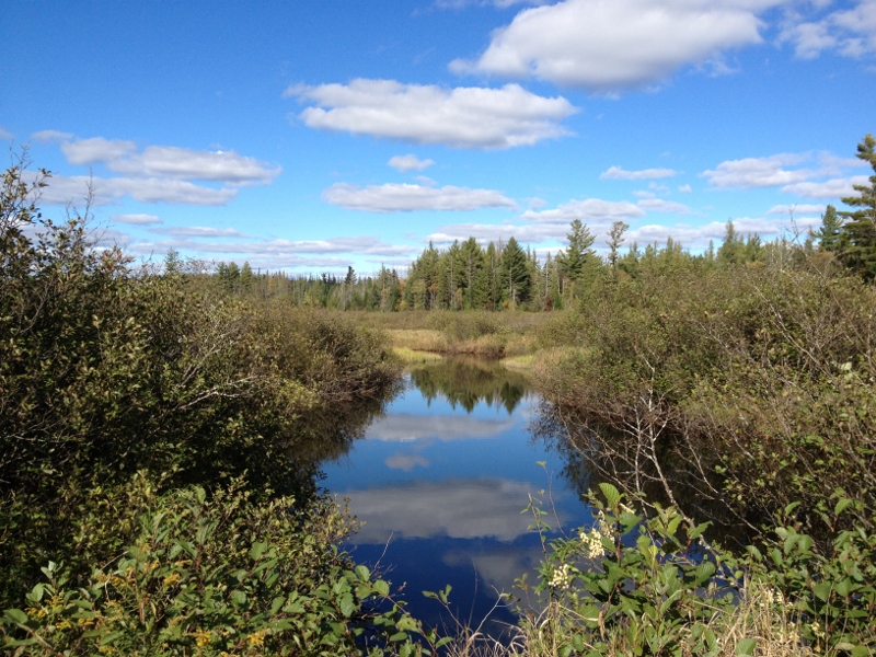 South Branch of the Grass River at Massawepie Mire