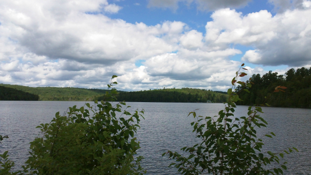 Little Lake Colby, up close and personal Little Lake Colby, up close and personal
