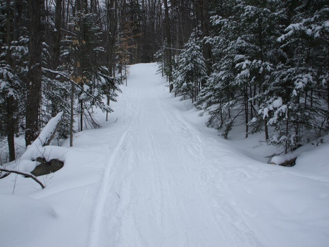 Trail Trail