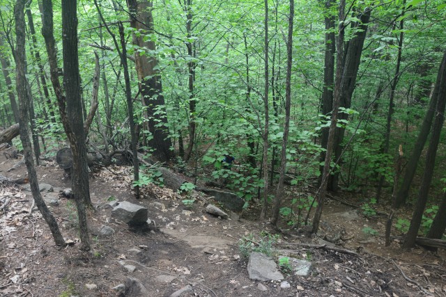 Trail