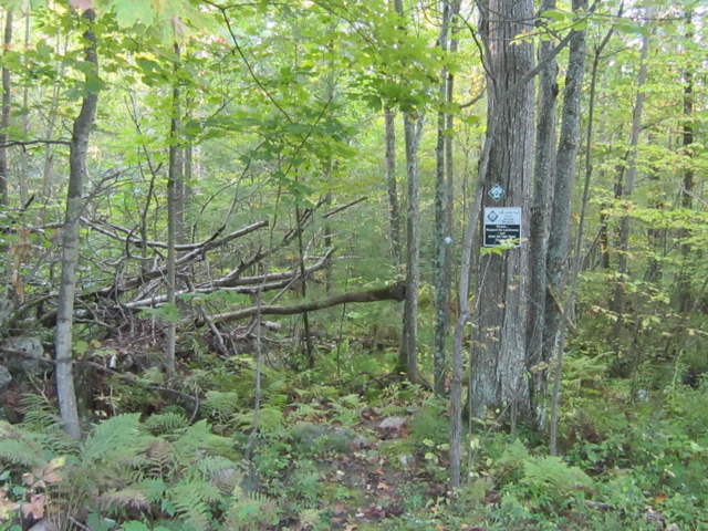 Homestead Trail