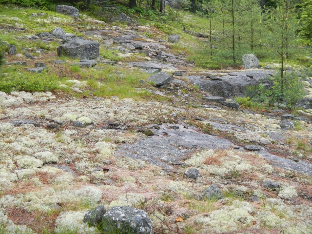 Open ledges on Treadway