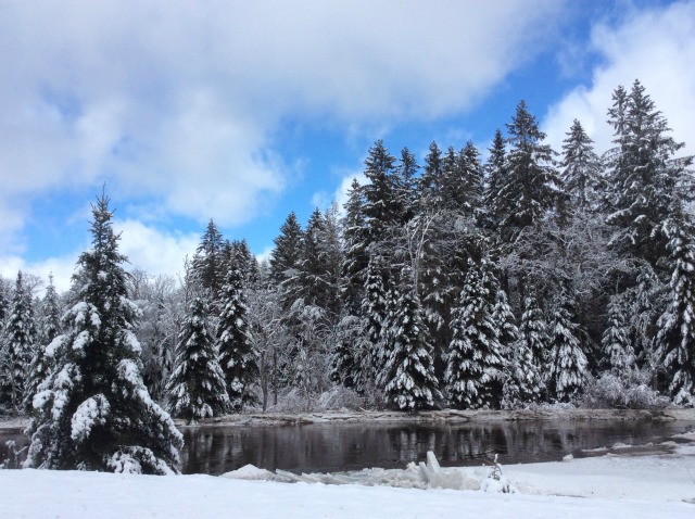 A gorgeous late winter day along the Ausable River.