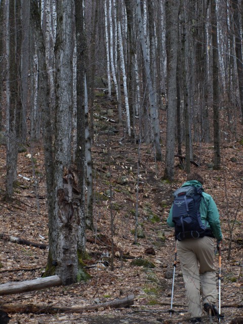 Trail