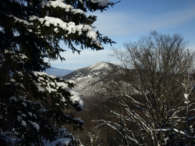 Catamount