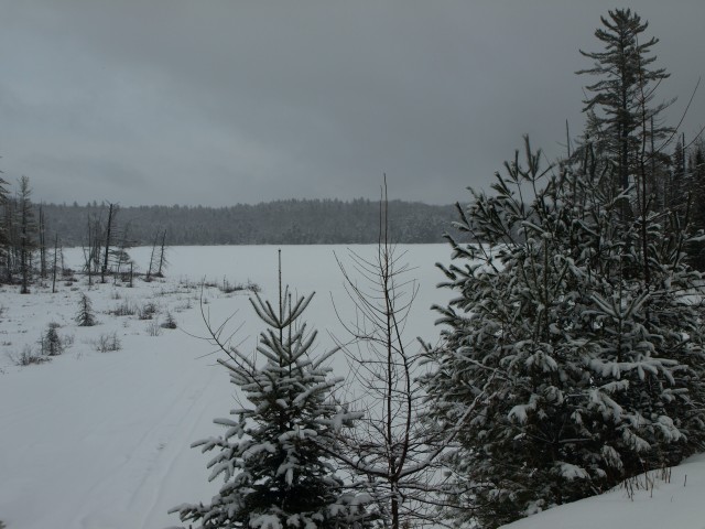 Marsh