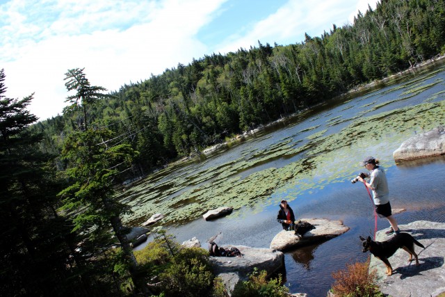 A beautiful day at Cooper Kiln Pond.