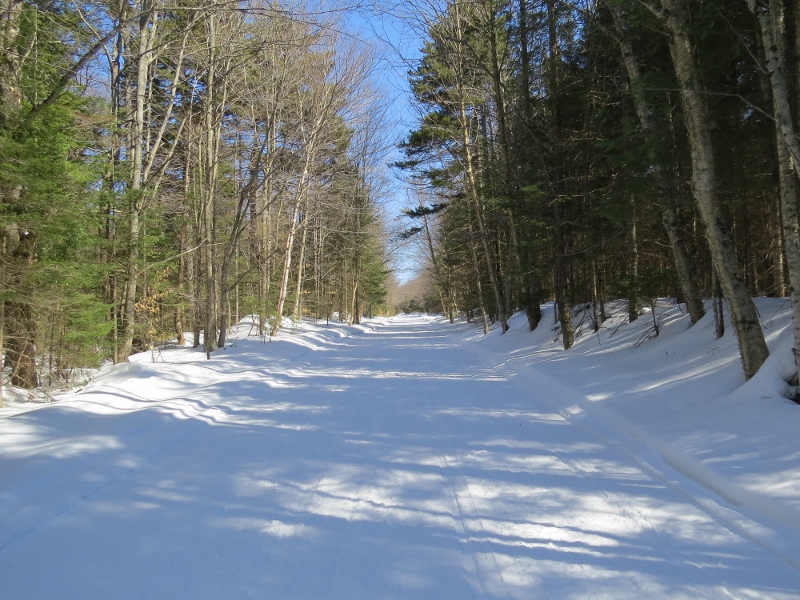 The groomed road