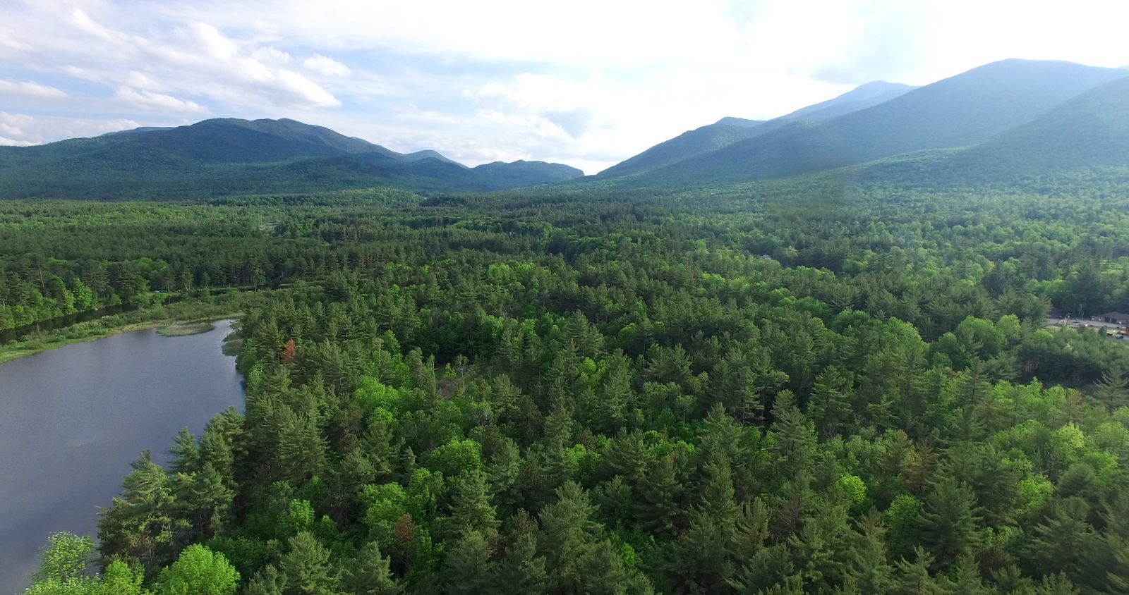 Lots of lovely shoreline in an expanse of forest.