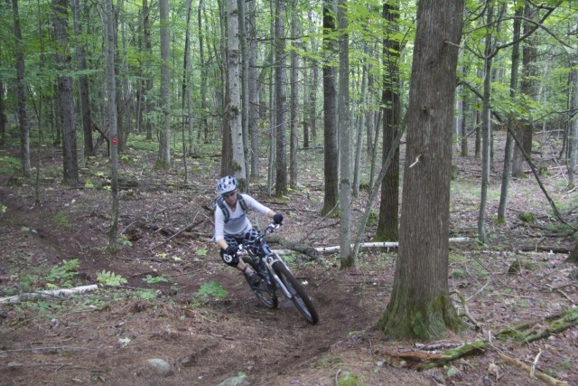 Cedar Trail