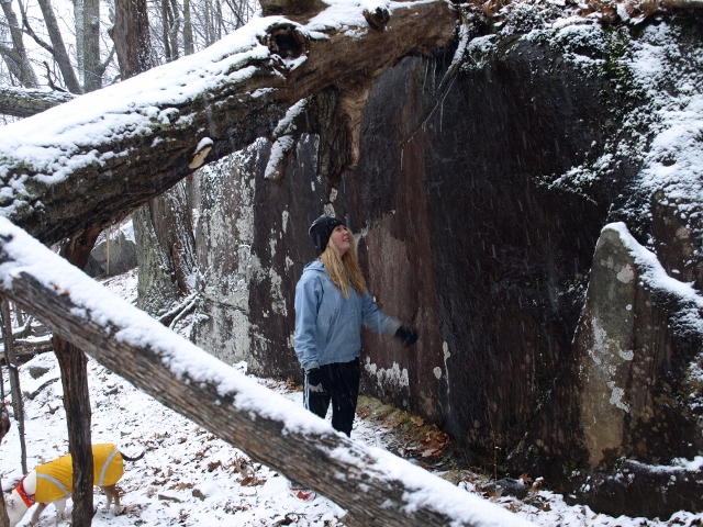 Snowy Trail
