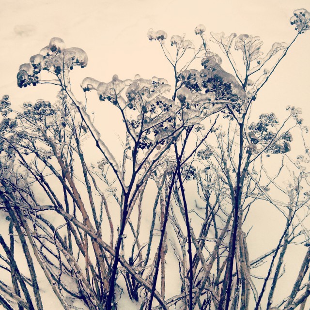 Ice photography
