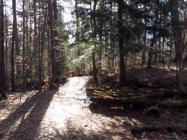 The Pines are a part of Saranac Lake's history as a famous curing center. The Pines are a part of Saranac Lake's history as a famous curing center.