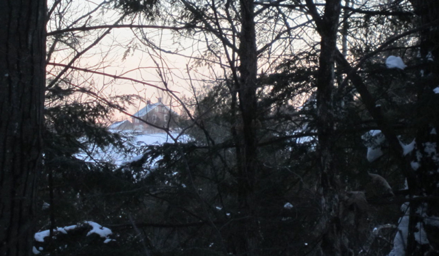 Sunlit View