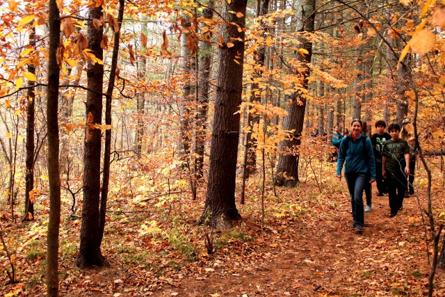 The refuge has a network of nature trails that are fun to explore.
