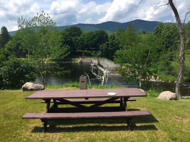 Heritage Park picnic spot