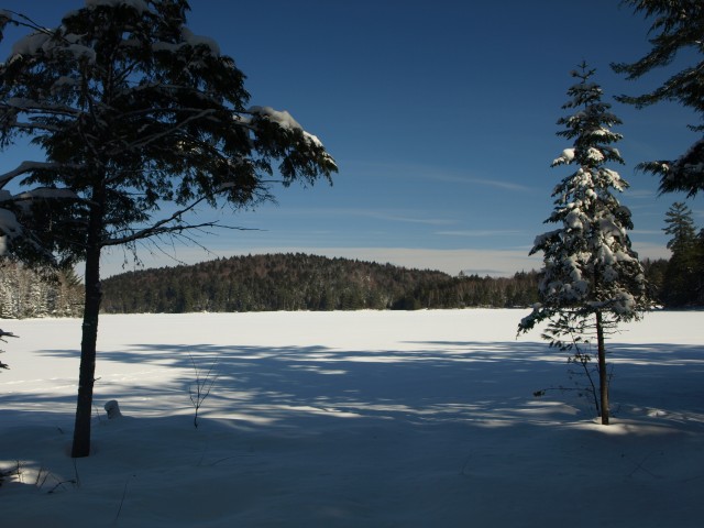Black Pond Black Pond