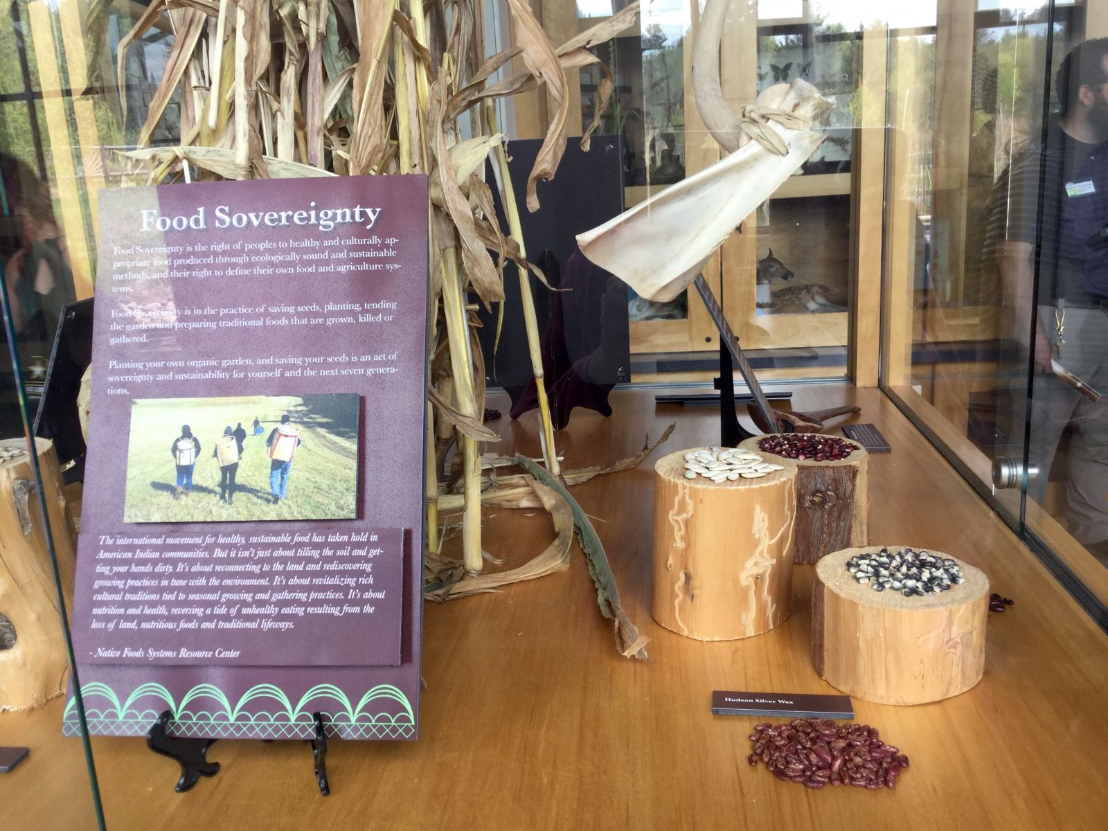 Corn, squash, and beans provided vital nutrition and also trade goods throughout the Adirondacks.