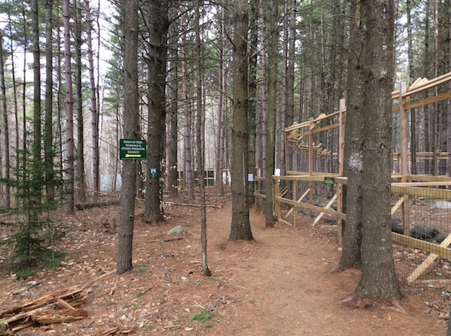 The trails wind through the different enclosures to meet some of the animals.