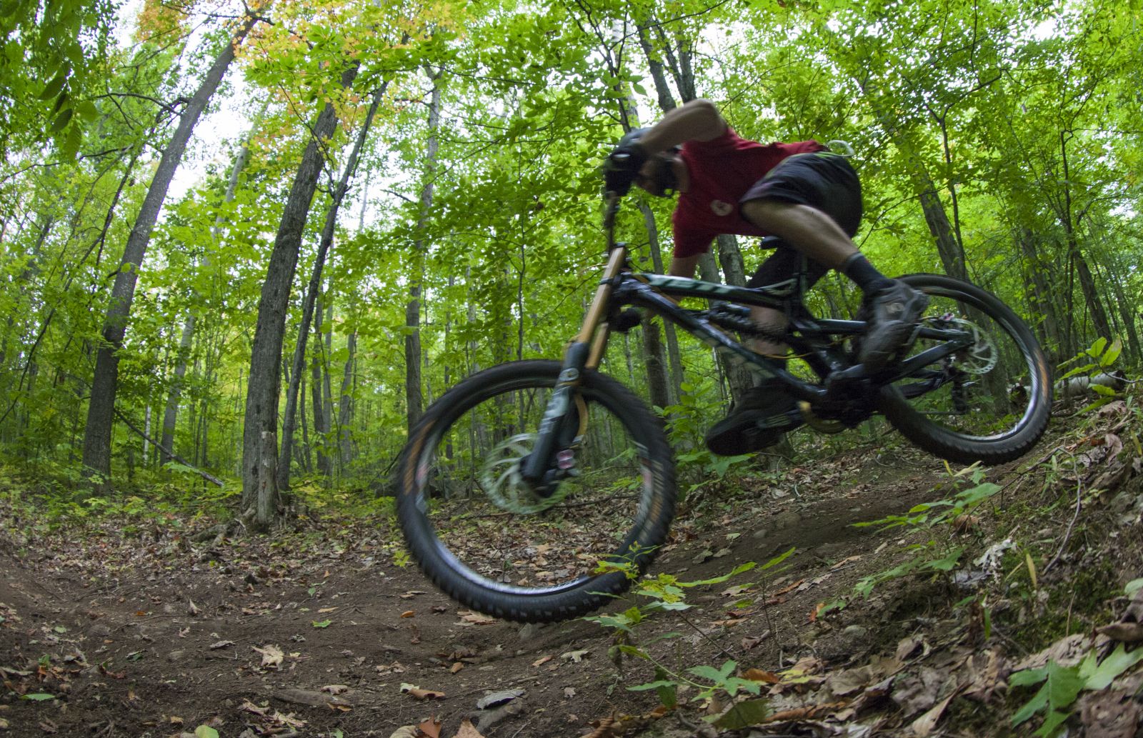 A mountain biker flying by on PMD.