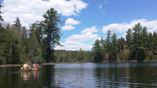 the full glory of the wilderness, via St Regis Lake, unfolds in front of the canoe the full glory of the wilderness, via St Regis Lake, unfolds in front of the canoe
