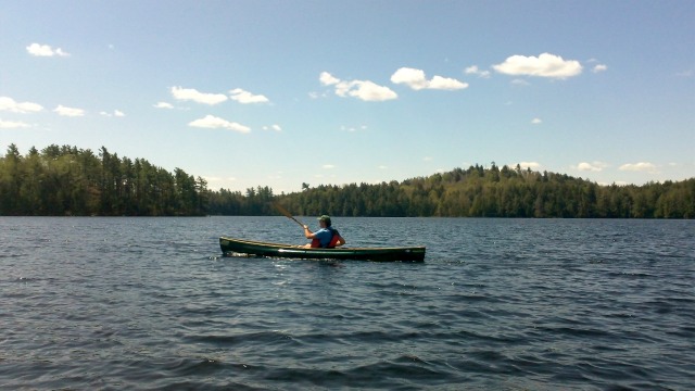 with the first launch we spot many loons on Little Clear Pond with the first launch we spot many loons on Little Clear Pond