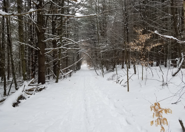 The trails are amazing and so beautiful to travel.