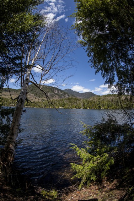 Copperas Pond Views