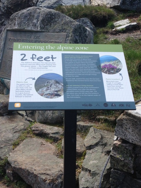 Entering the alpine zone