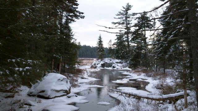 frozen brook in a marsh frozen brook in a marsh