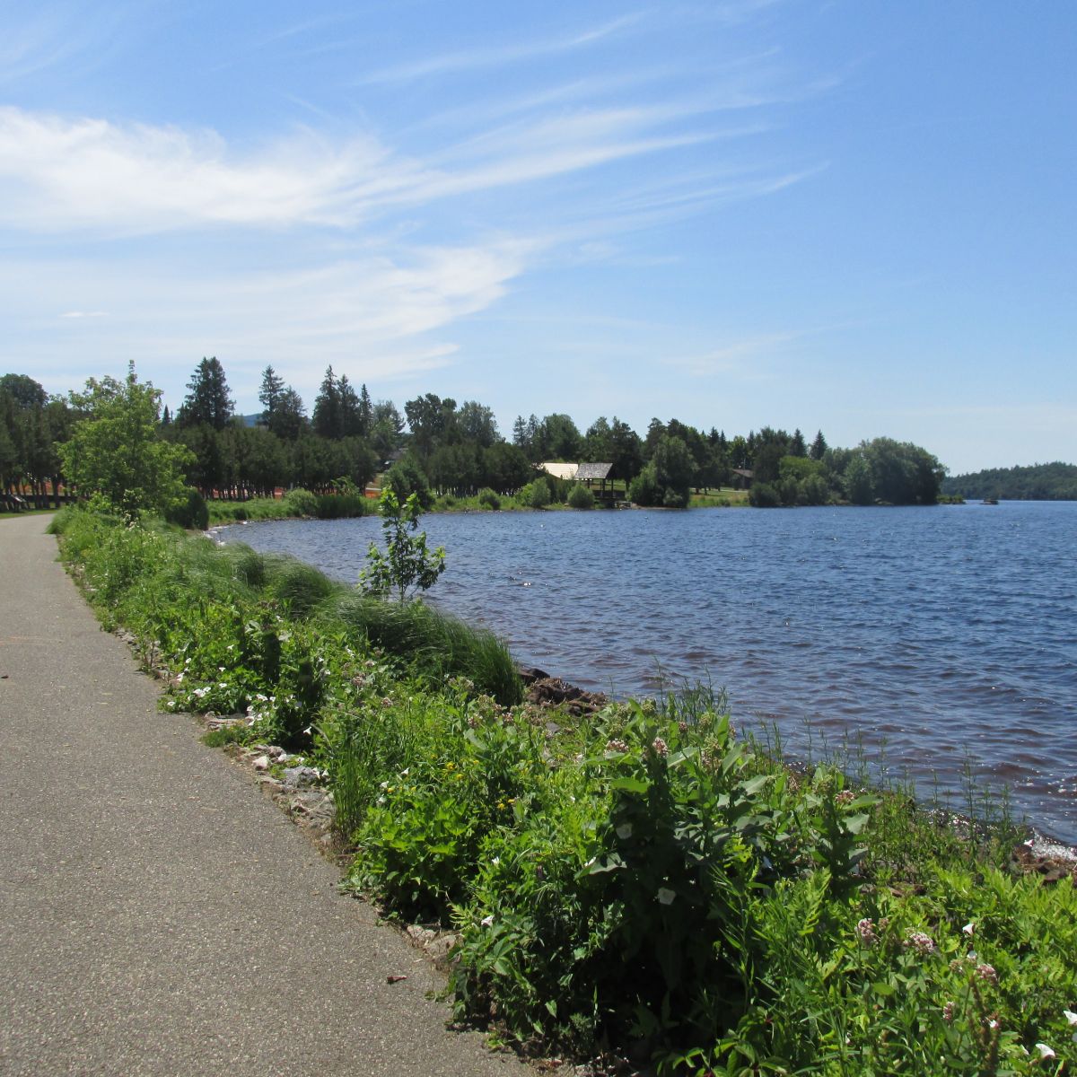 Junction pass connects to the Raquette Pond shoreline — beautiful!