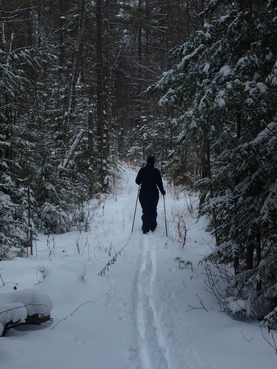 Cruising the trail back to Janacks Landing