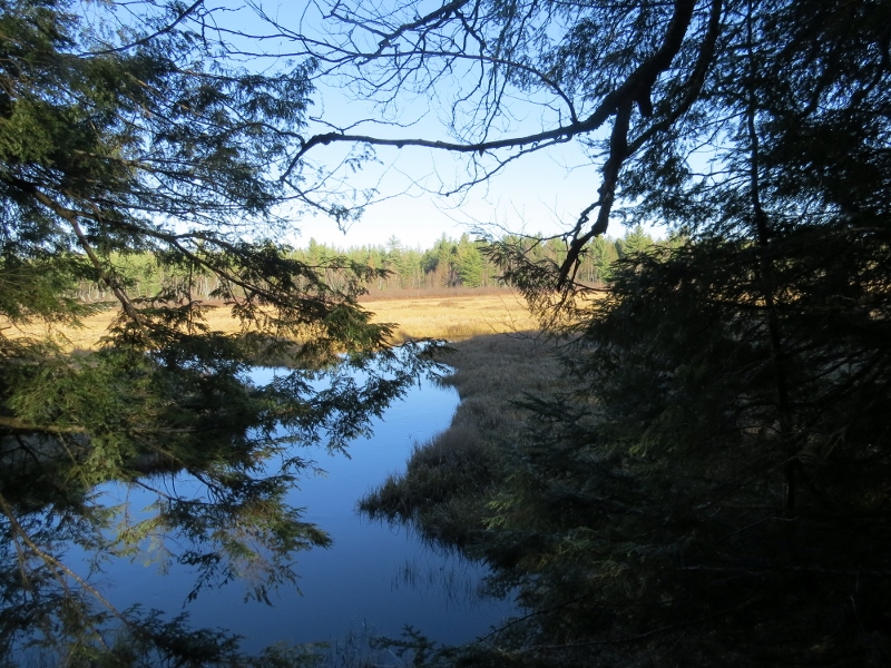 Grass River Flow