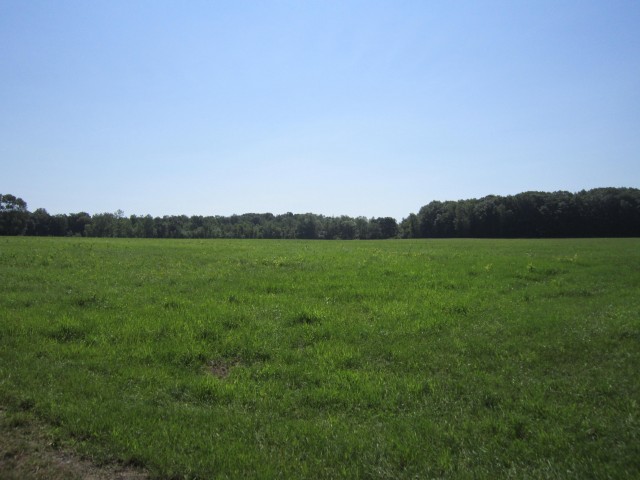The Two Week Field.