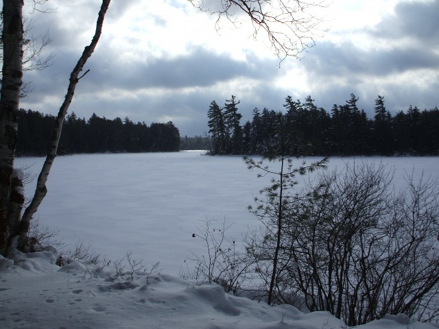 Pond Pond